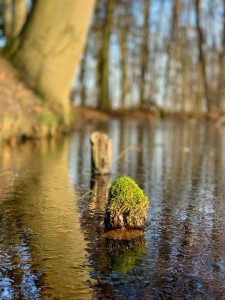 Freda_12_1.Platz