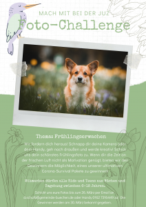 Foto-Challenge
